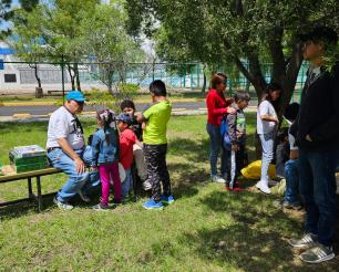 Verano infantil 2024