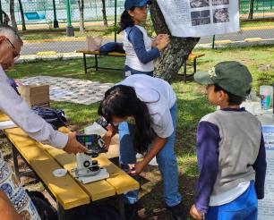 Verano infantil 2024